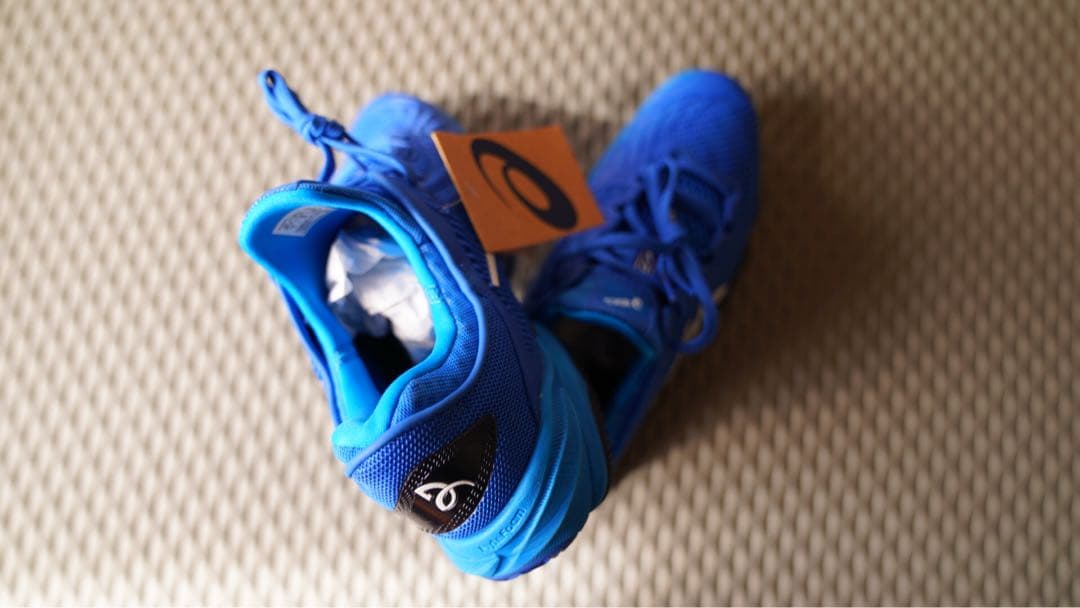 ASICS COURT FF 3 NOVAK CLAY 26cm 日本未発売品