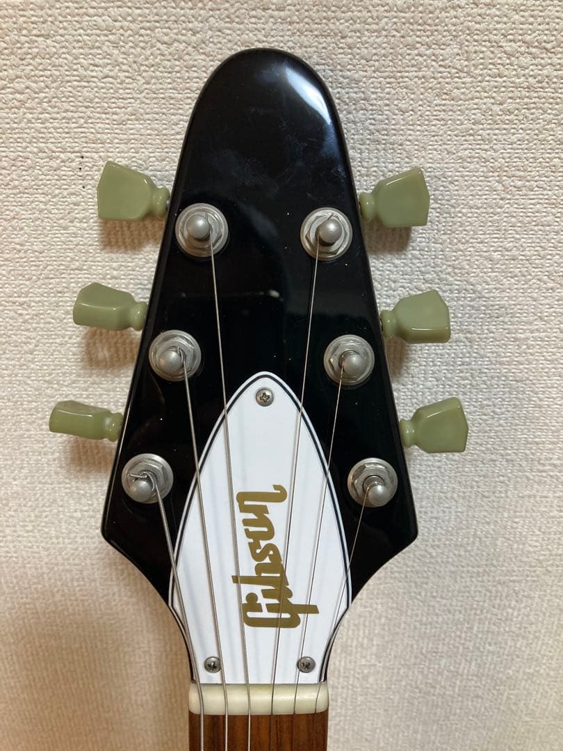 Edwards エドワーズ E-FV-120
