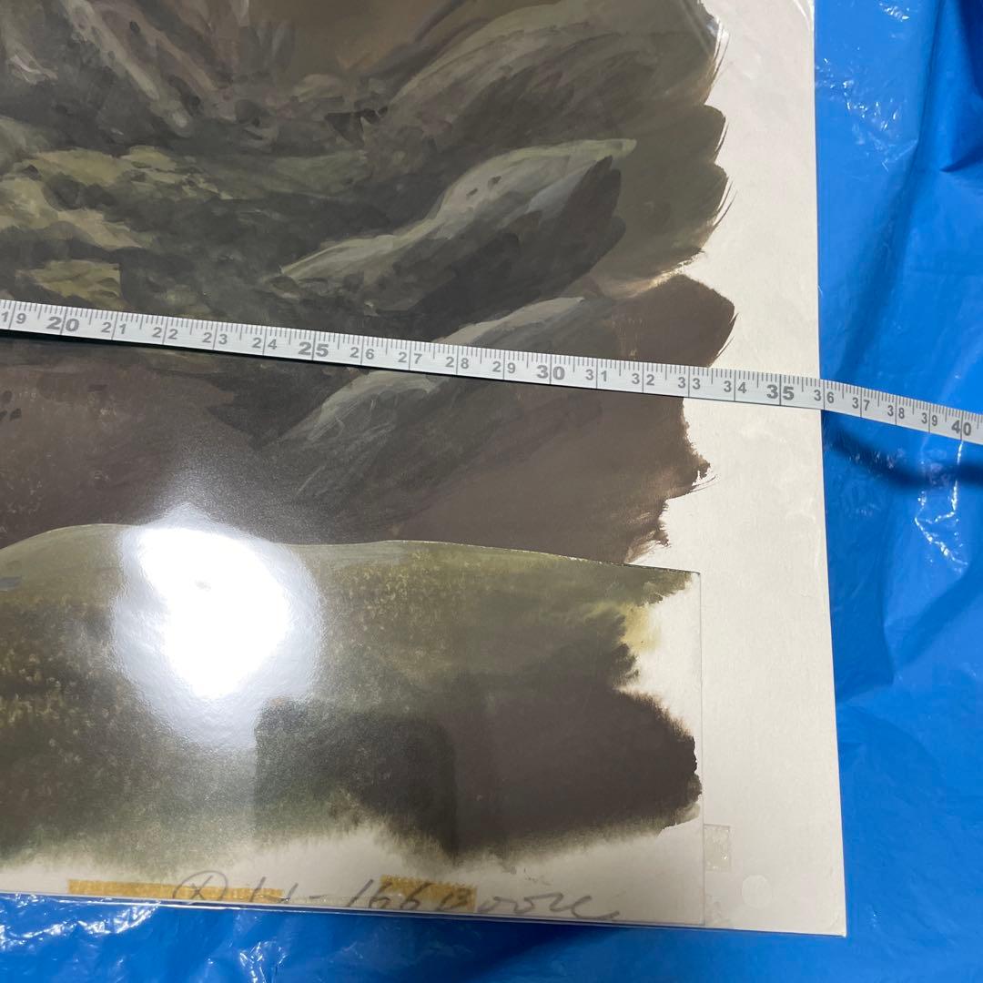 となりのトトロ