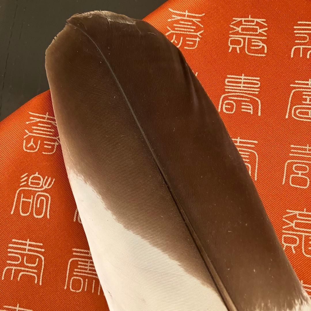 お値下げ 茶道具 羽箒 炉用 左羽 三つ羽