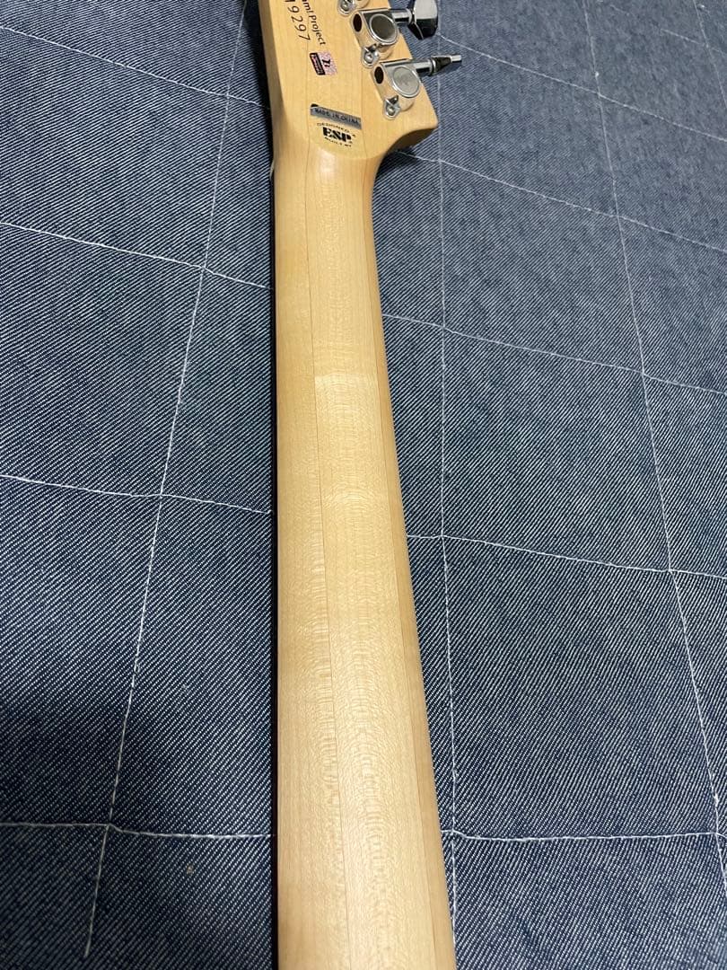 P*A様 ESP BanG Dream! RANDOM STAR 戸山香澄モデル