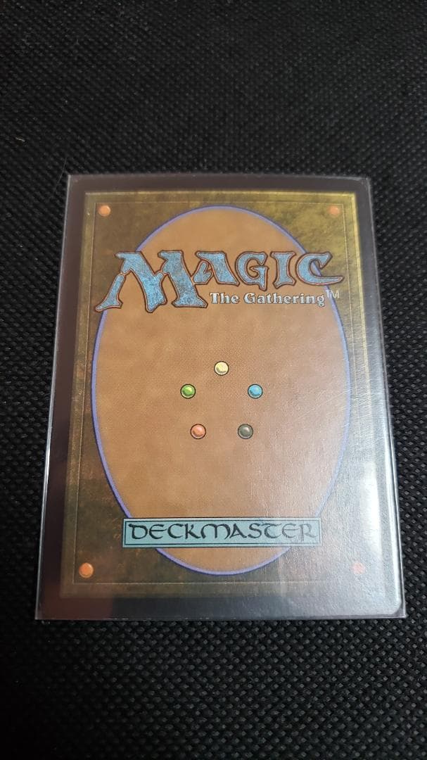 MTG 石化した原野 英語 foil 初版