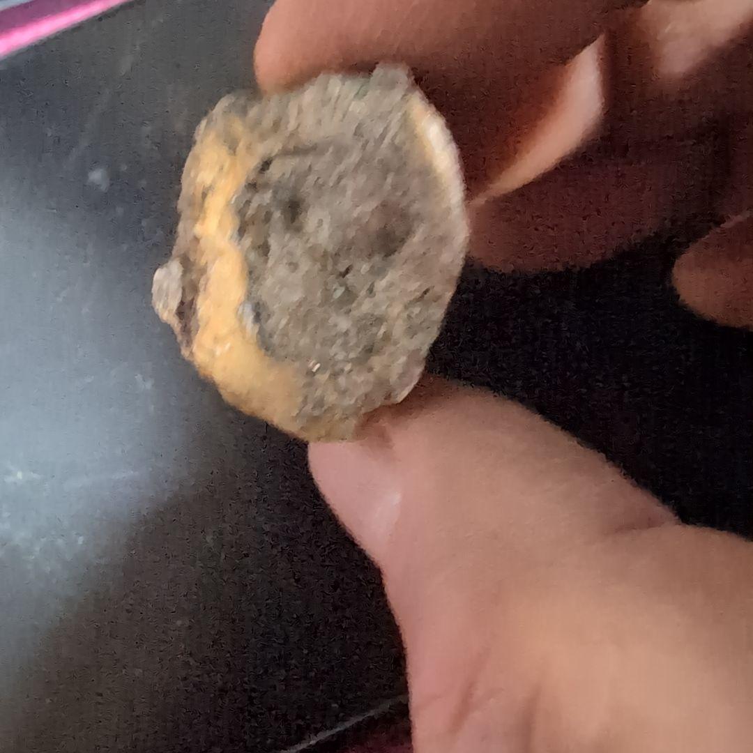 本物　恐竜の歯　内部水晶化　モササウルス?　25グラム