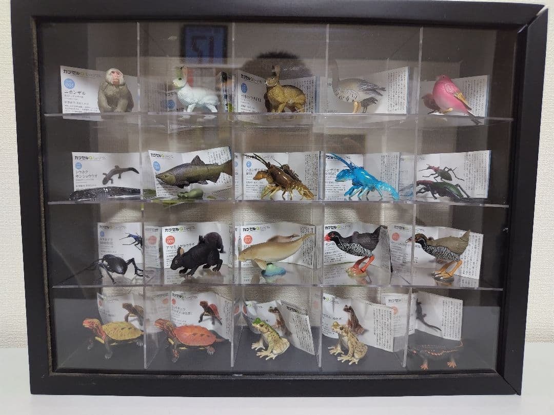 カプセルQ　日本の動物84体セット　ノーマルコンプ