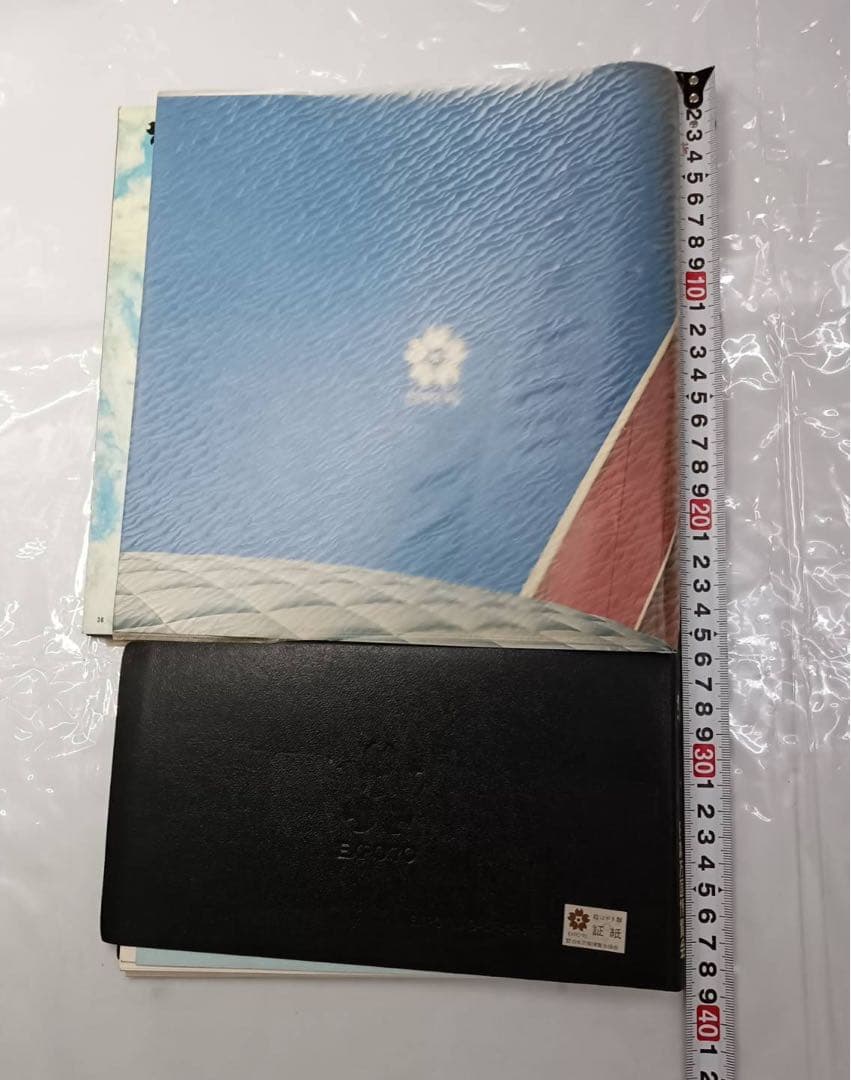 希少 激レア 1970年 EXPO70 日本万博博覧会 人類の進歩と調和