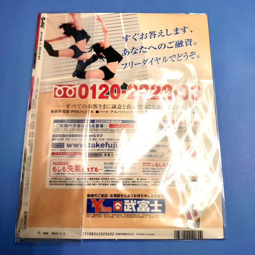 【稀少】ステイゴールド ウマ娘 ぬいぐるみ アイドルホース 競馬 AVANTI