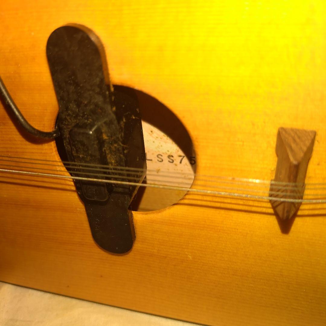 ライリッシュ 大正琴 LSS75