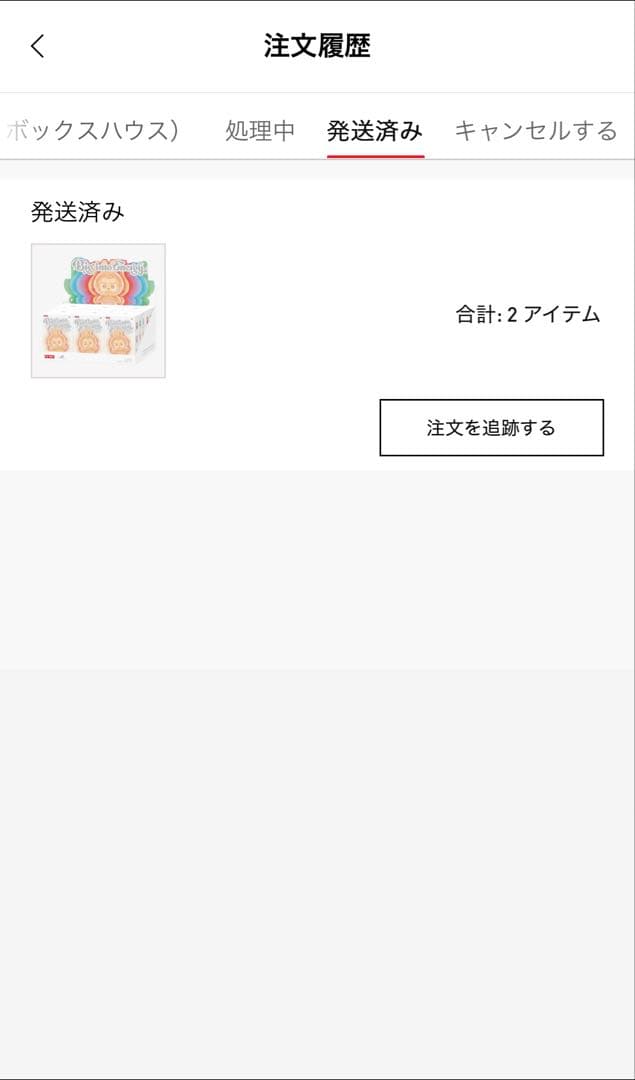 【新品未開封・正規品】ラブブ Big into Energy アソートボックス