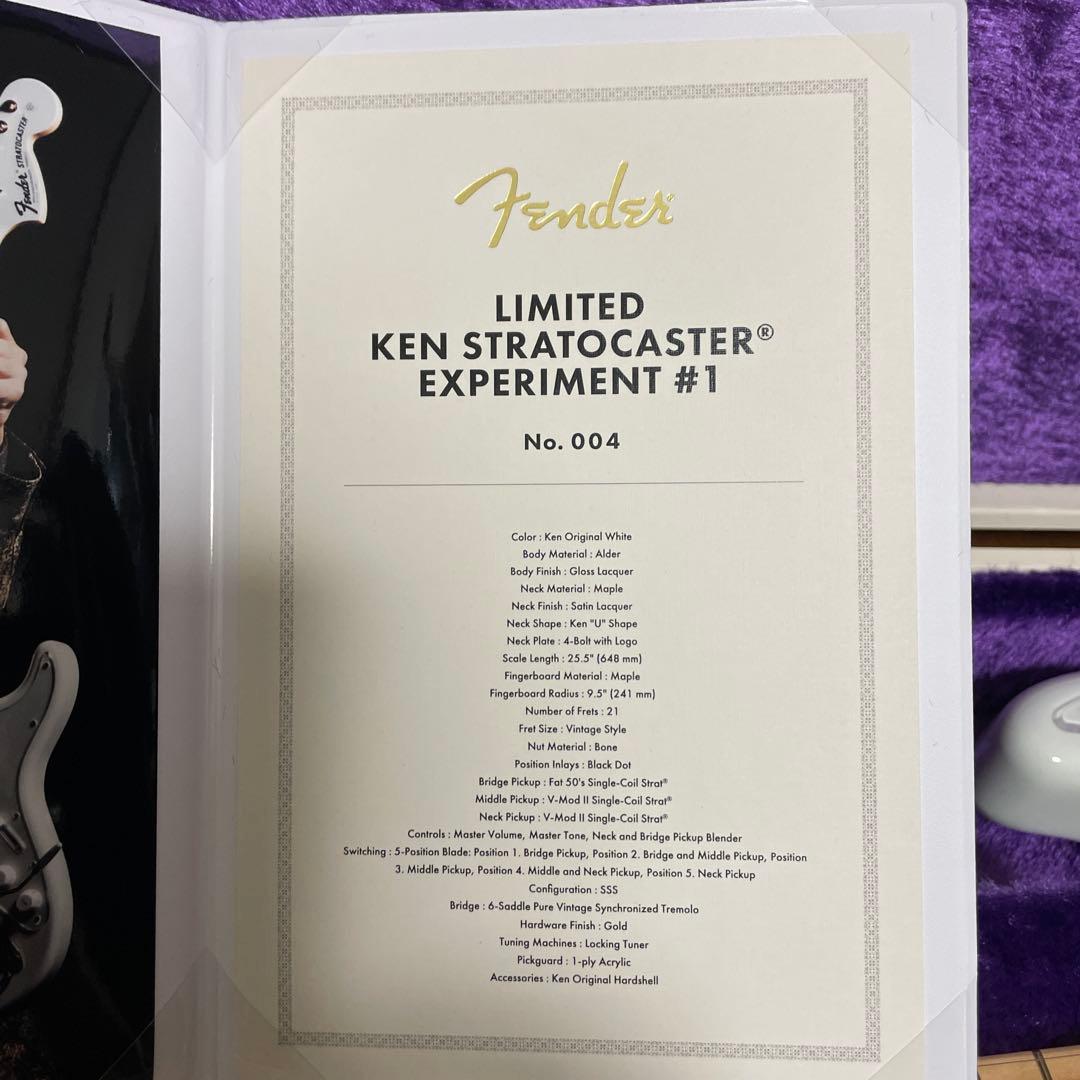 ギター Limited Ken Stratocaster Experiment