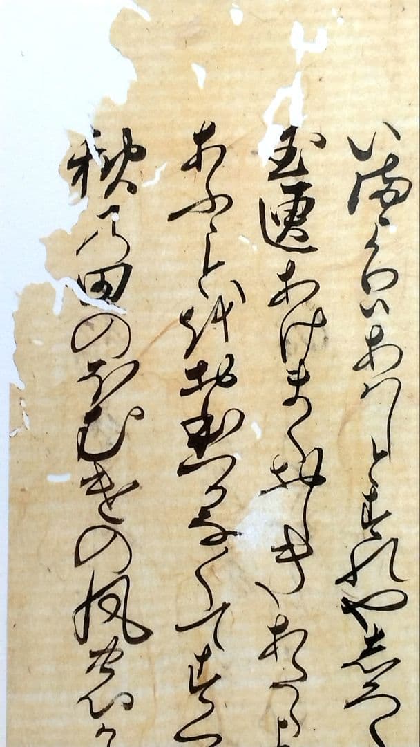 【古筆】新古今和歌集 室町時代 参議篁の和歌 木村寿禎旧所蔵（茶道掛軸古文書道）