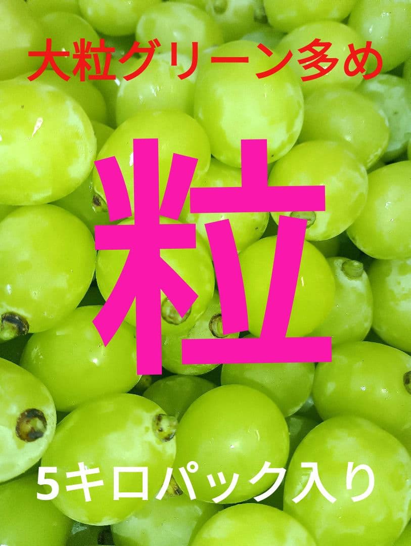 シャインマスカット大粒グリーン多め入りの5キロ粒バック入りになります。