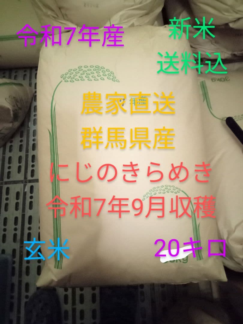 R7年産 新米 群馬県産 にじのきらめき 20キロ 玄米 送料込 20kg