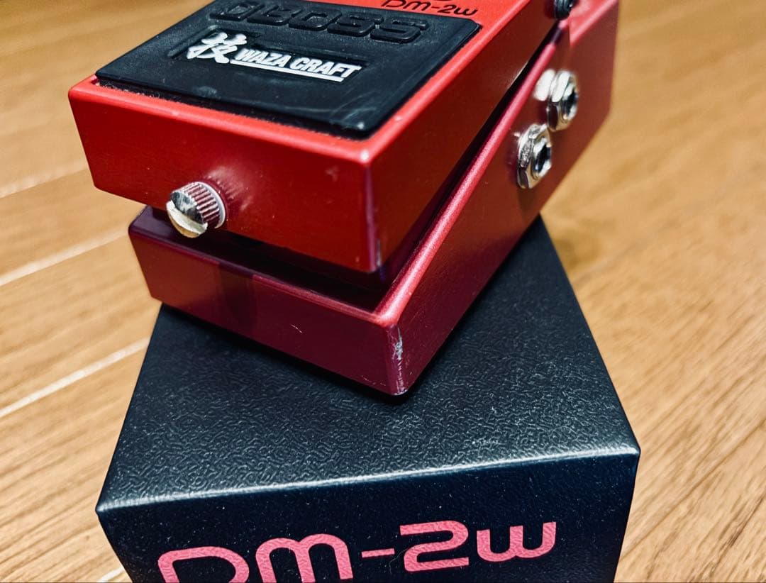 BOSS DM-2w 2年保証あり　箱付き　デジタルディレイ　技　WAZA