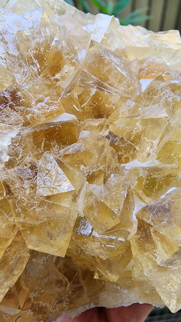 黄色と紫色フローライト　二重層八面体黄色蛍石