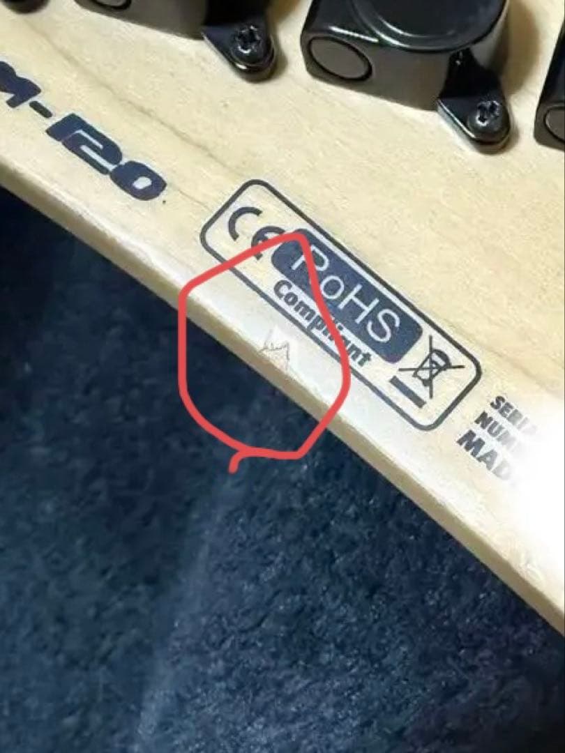 ギター VGS soulmaster6