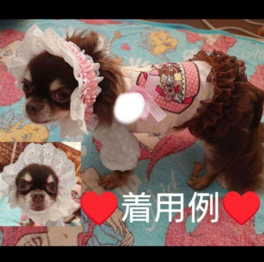 J＆Kanimals　限定ワンピース　ホワイトシュガーちゃんワンピース　廃盤品