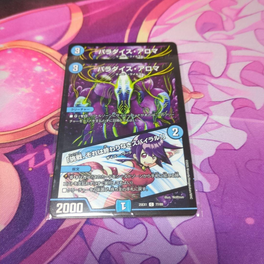 水単サイバー(青単サイバー)Nパク型　デッキ　3重スリーブ入り