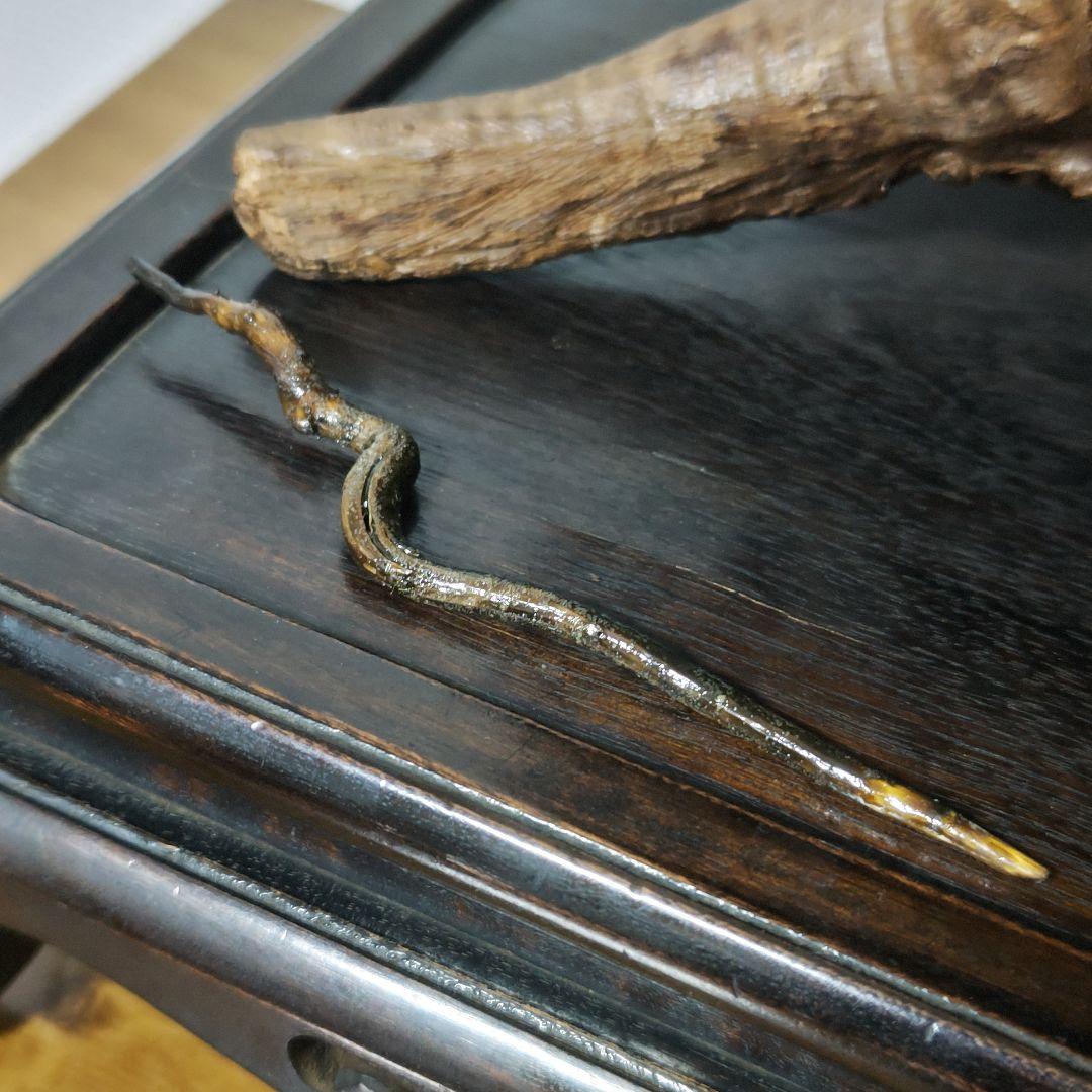 福禄寿 木彫り 天然木 台座付