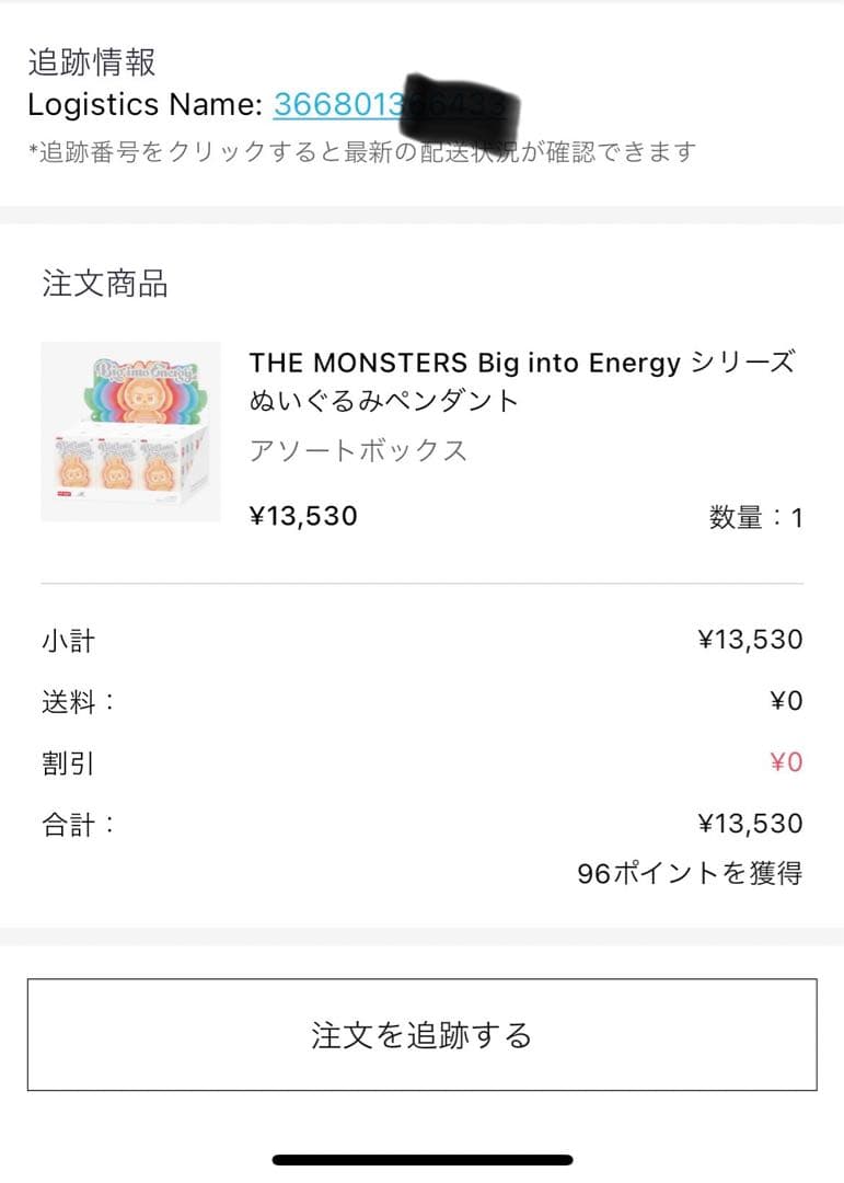 【新品未開封・正規品】ラブブ Big into Energy アソートボックス②