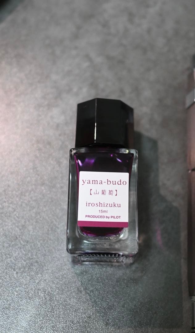 TWSBI PRECISION（プレジション）　ツイスビー　万年筆　Fニブ