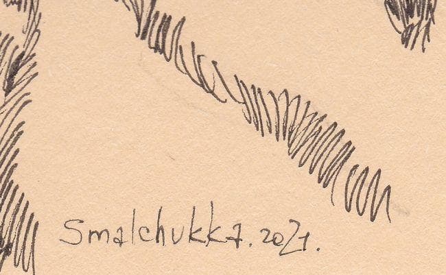 イラスト　原画　アンナ・スマルシュク 「虎」