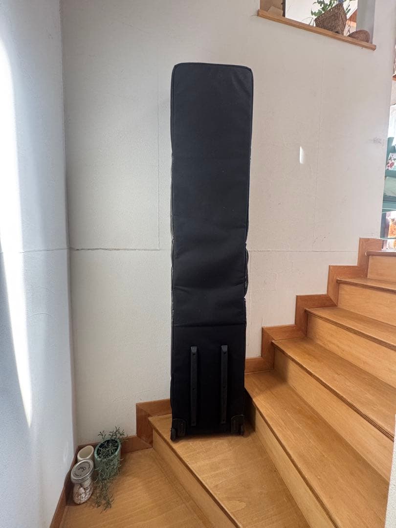 patagonia ブラックホール　スノーローラー