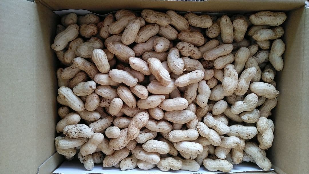 K-one-suzukiさま専用　5kg洗ってある◎箱の重さ込み5ｋｇ