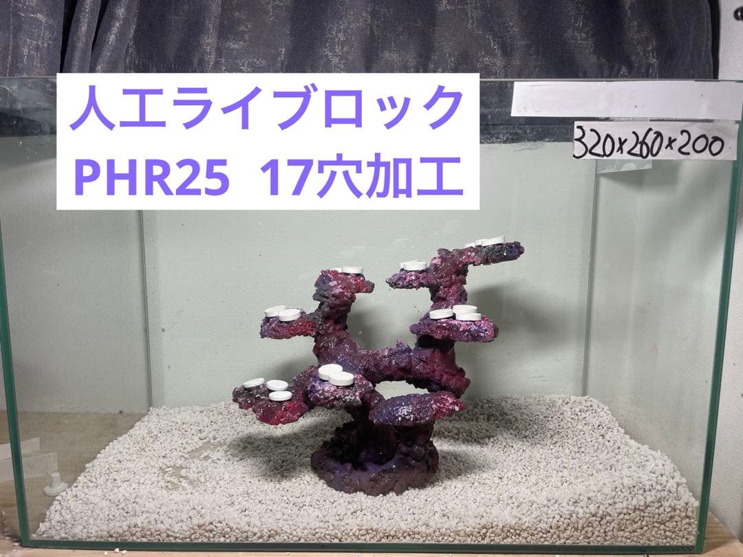 【送料無料】人工ライブロック　PHR25／17穴加工　アク抜き済み安心塗料使用
