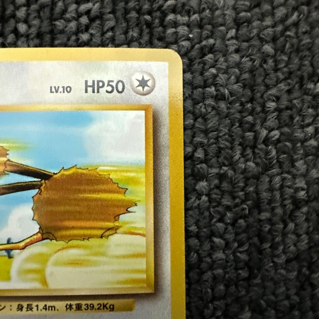 ポケモンカード 旧裏 初版 マークなし ドードーHP50 レベル10
