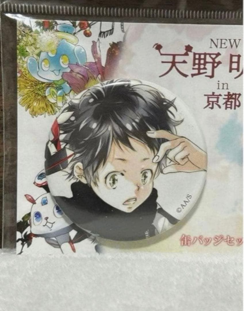 家庭教師ヒットマンREBORN! 天野明展 in 京都 缶バッジ 沢田綱吉 限定