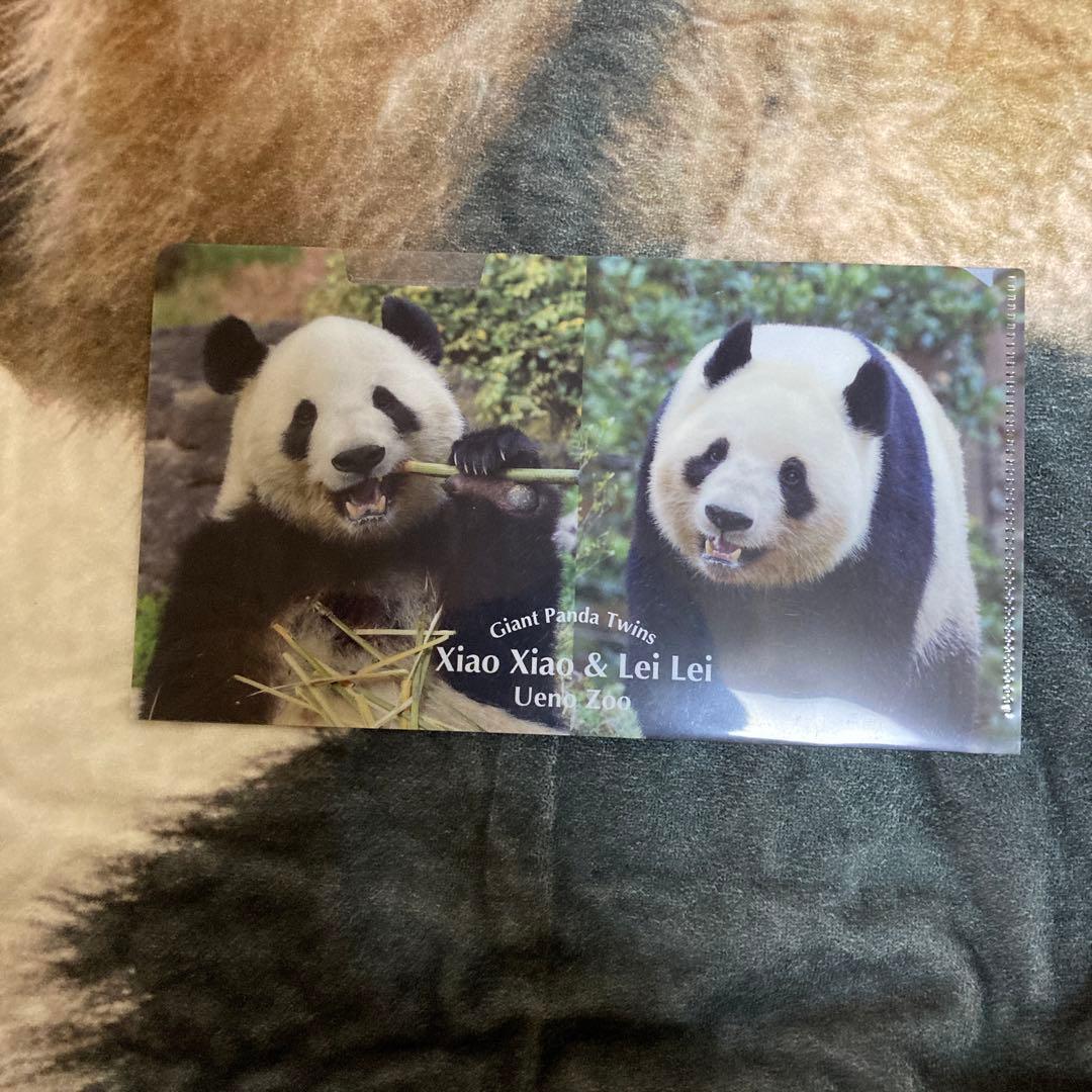 新品未開封　シャオシャオ　レイレイ　シンシン　上野動物園　親子パンダぬいぐるみ他