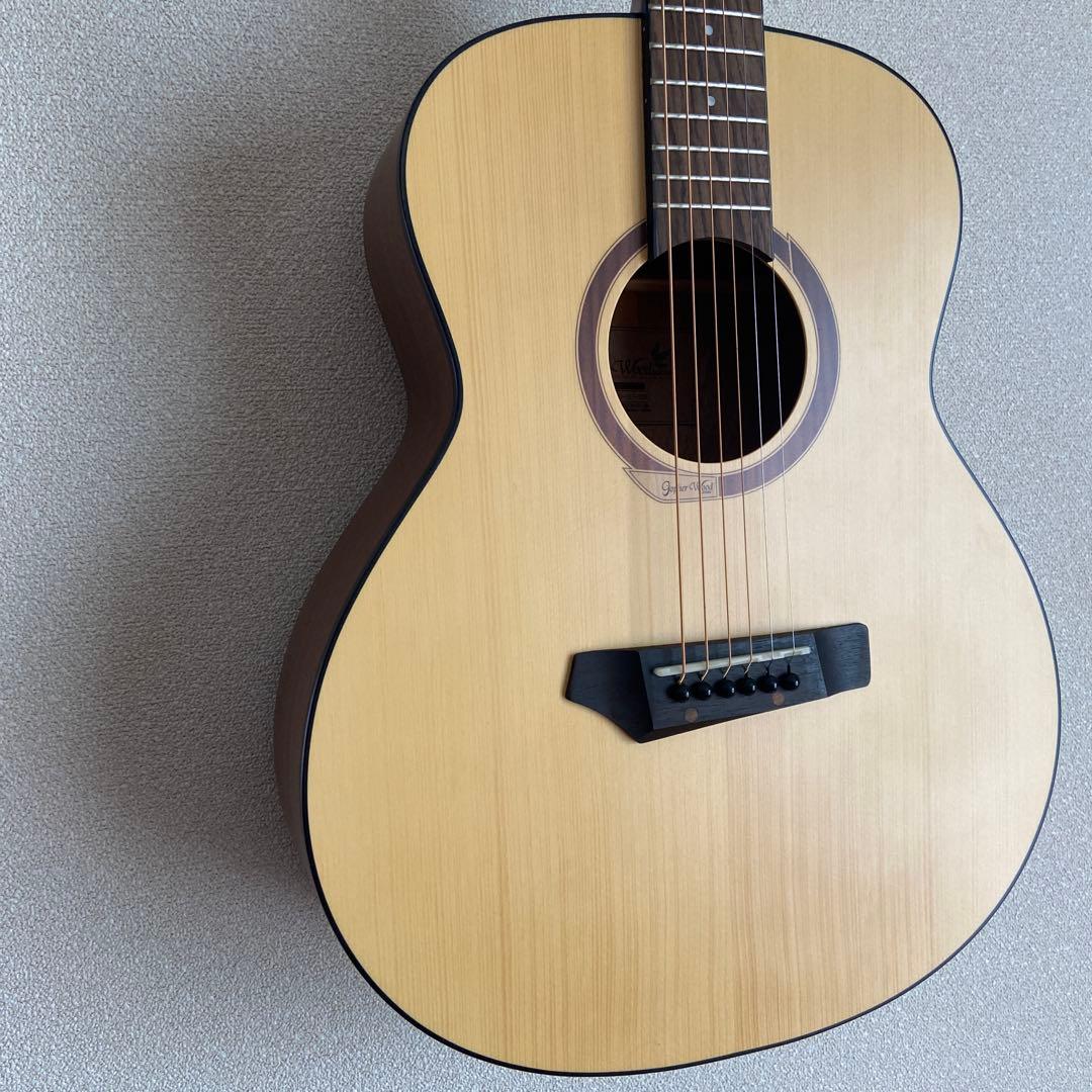 Gopher Wood i110SX　アコースティックギター　ゴフェルウッド
