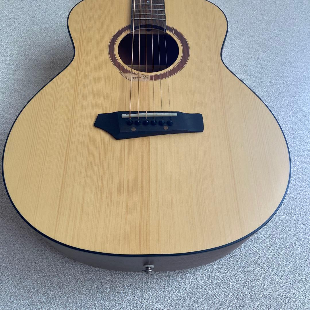 Gopher Wood i110SX　アコースティックギター　ゴフェルウッド