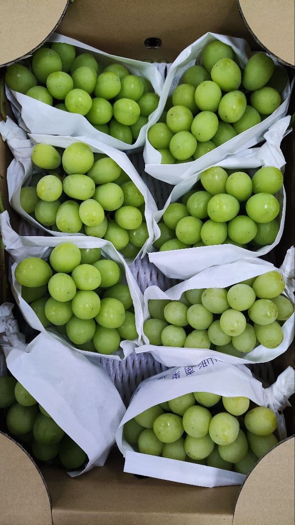 華*香様 シャインマスカット　5キロ　8入　最終