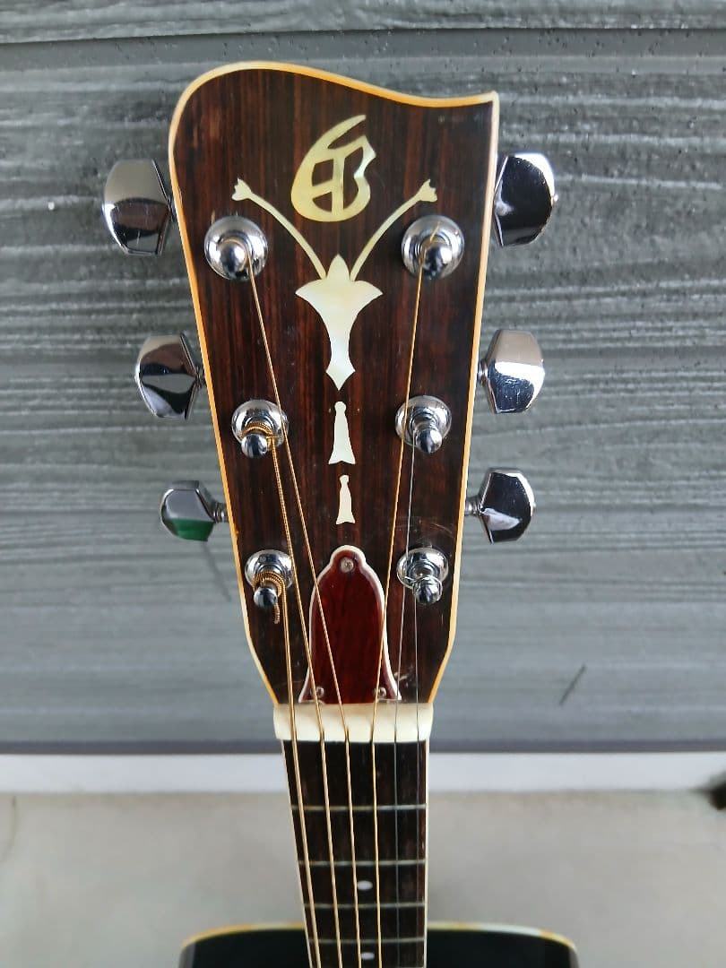 GRAND CANYON No.350( HC付き)