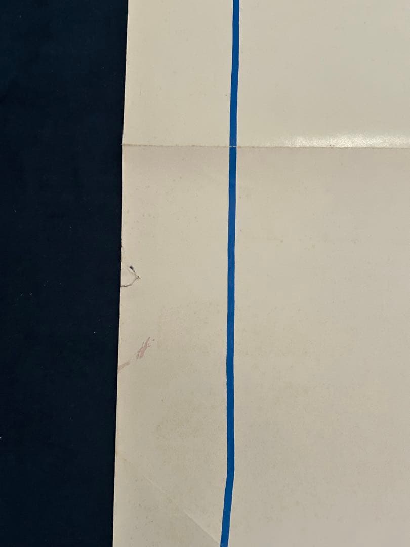 またまたおかしな大追跡　USオリジナル映画ポスター