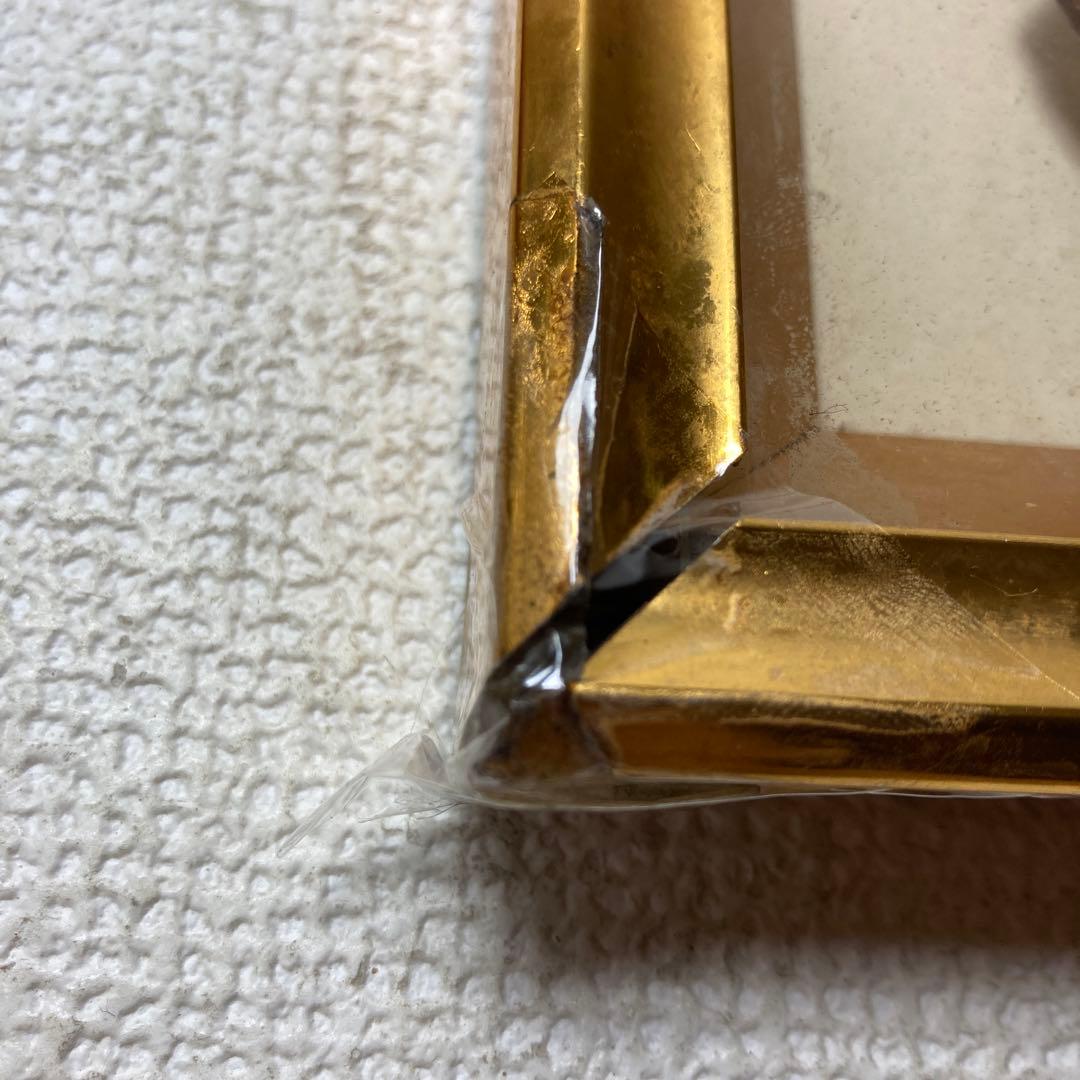 蝶の標本コレクション