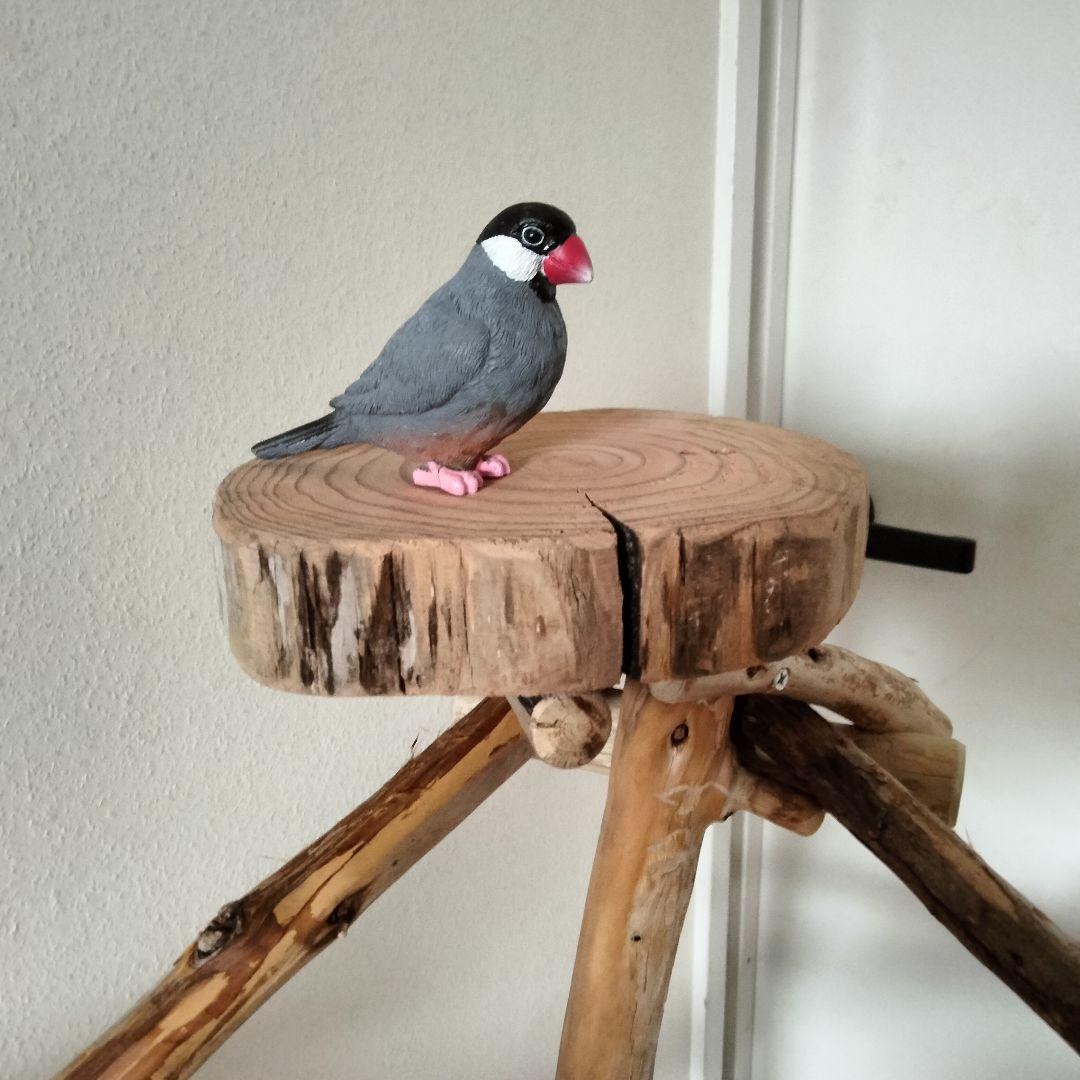 ET バードアスレチックジム 天然木 自然木 流木 止まり木 インコ