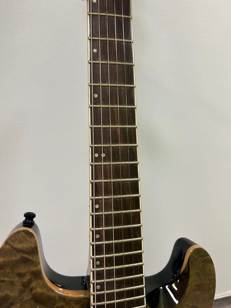 フェルナンデス APG-85S サスティナー