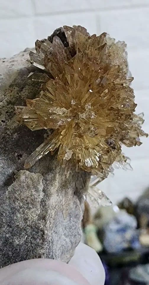 モロッコ産アラゴナイトの花　 (　花火 )
