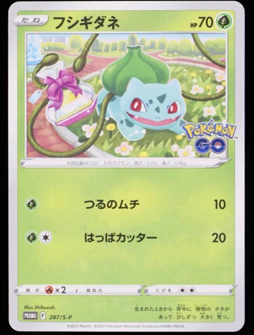 フシギダネ P gemix10Black 最上位評価 PSA10