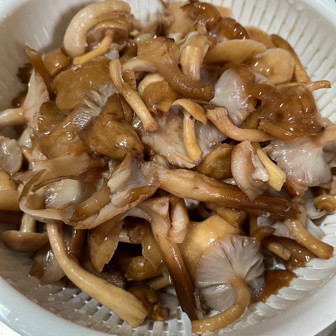 新潟県産天然ナラタケ 洗浄処理済み 約1.9kg クール便