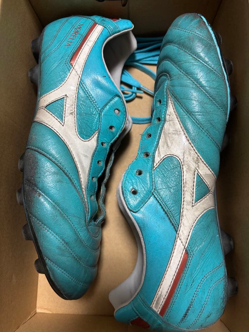 ぴこさん専用　モレリア2japan