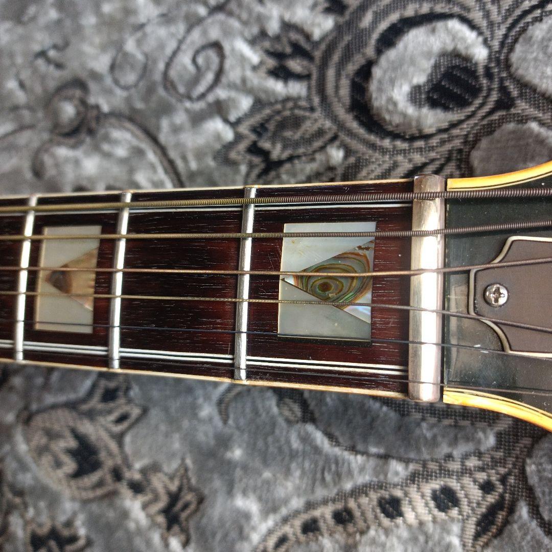 コンプリートＤ-55モデル 積層ネック 本アバロン貝　Aria GL-500