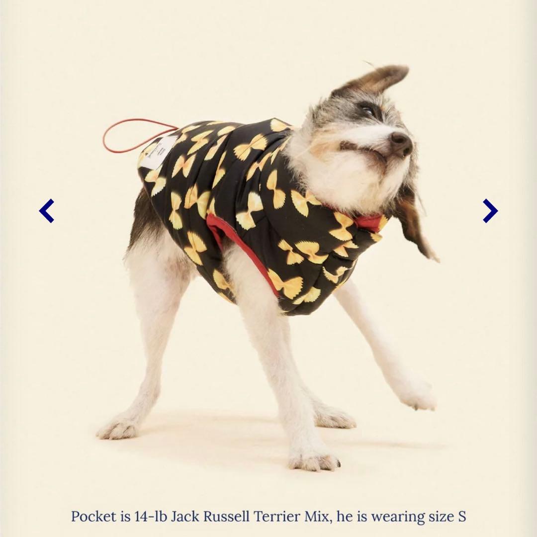 little beast パスタ柄犬用コート