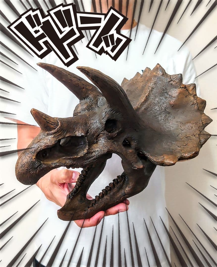 【お得なセット】ティラノサウルス トリケラトプス インテリア雑貨