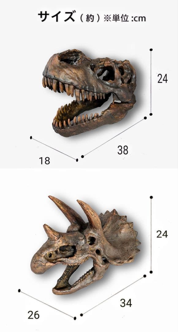【お得なセット】ティラノサウルス トリケラトプス インテリア雑貨