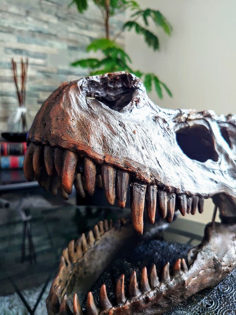 【お得なセット】ティラノサウルス トリケラトプス インテリア雑貨