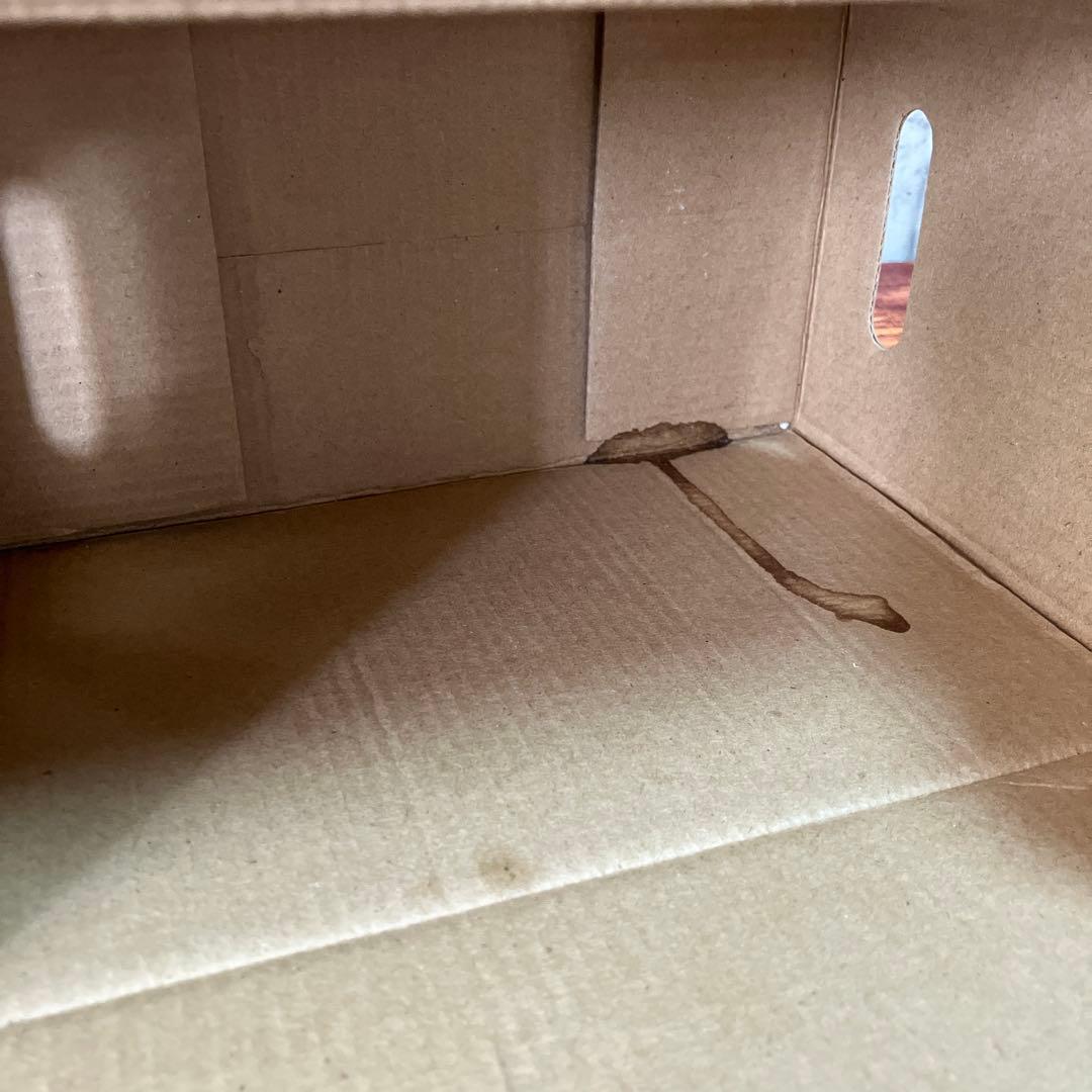 RAH メタルギアソリッド3 ネイキッド・スネーク1/6スケールフィギュア