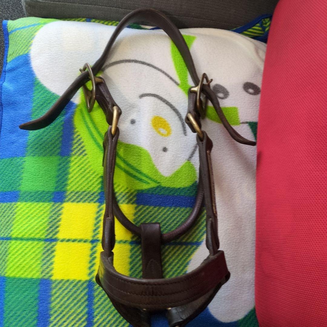 く*ろ様 競走馬　スペシャルウィーク　無口